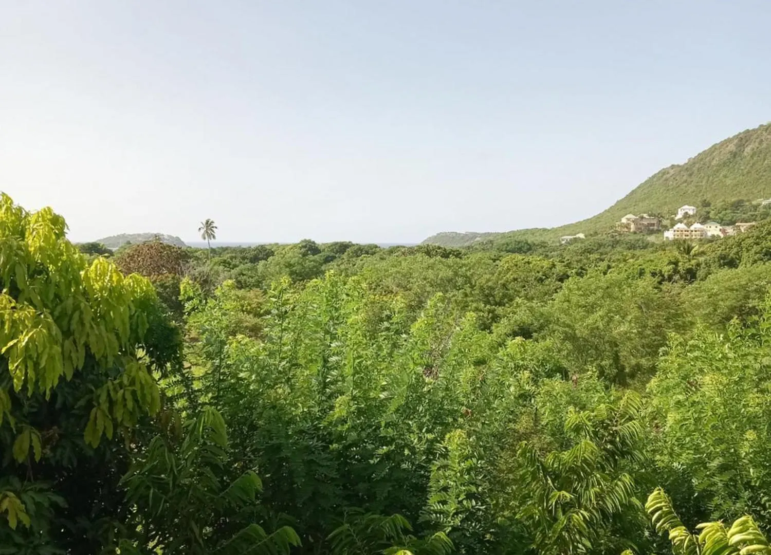 Apartment Unforgetable Gardens Falmouth Harbour 0*,  Antigua/Barbuda